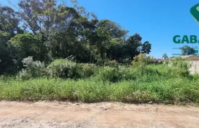 Terreno comercial à venda na Rua Vereador Nicolino Melantônio, L 12, Balneário Eliane, Guaratuba