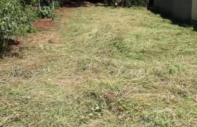 Chácara / sítio à venda na Rua Capitão Reis, Zona Rural, Serra Azul