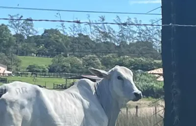 Fazenda à venda na Zona Rural, Araruama 