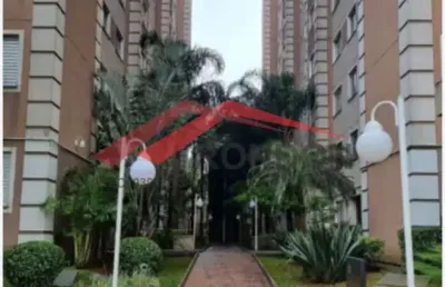 Apartamento térreo à venda na av saldado filho 2 dormitórios 1 vaga