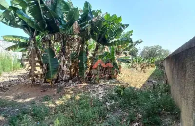 Terreno, 433 m² - venda por r$ 450.000,00 ou aluguel por r$ 1.159,00/mês - vila mariana - americana/sp