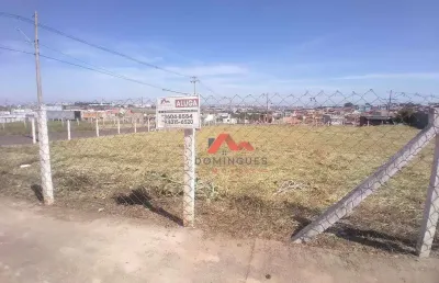 Terreno para alugar, 242 m² por r$ 1.087/mês - jardim boer ii - americana/sp