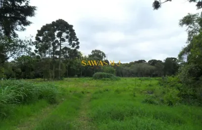 Terreno para venda em roseira são josé dos pinhais-pr