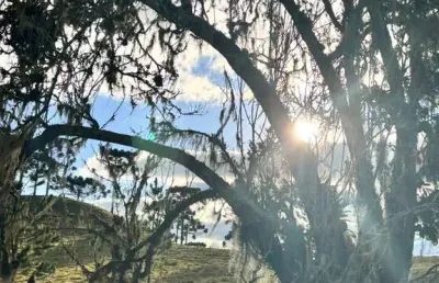 Fazenda à venda em rancho queimado, 280.000m² | vargedo