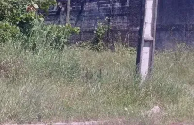 Terreno à venda na Praça Ângelo Guerra, 20, Jardim Umuarama, Itanhaém