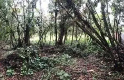 Terreno à venda na Praça Ângelo Guerra, 16, Chácara Lucél, Itanhaém