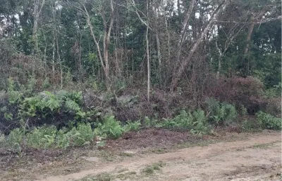 Terreno de chácara com escritura em itanhaém - r$ 35.000,00.