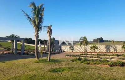Terreno à venda, 1539 m² por r$ 1.000.000,00 - gleba fazenda palhano - cambé/pr