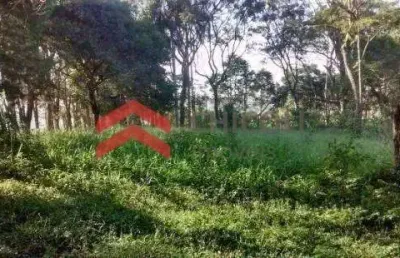 Terreno comercial para alugar na da bonanza, 1500, capela de são pedro, vargem grande paulista por r$ 12.000