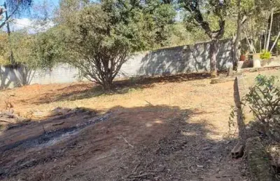 Excelente lote, murado, pés de fruta, ótima vizinhança
