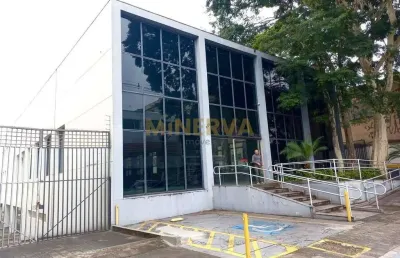 Prédio para alugar na Rua Maria Cândida, Vila Guilherme, São Paulo