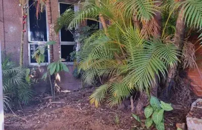 Casa com 3 quartos para alugar na Rua Namé, Vila Ré, São Paulo