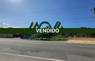 Terreno está situado em frente ao asfalto - avenida sai mirim ( rua 370)