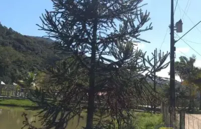Chácara / sítio com 3 quartos à venda na Área Rural de Itajaí, Itajaí 