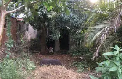 Casa com 3 quartos à venda no Nova Gerty, São Caetano do Sul 