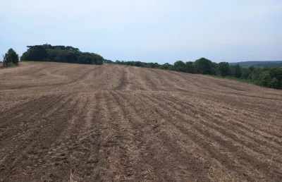 Terreno à venda na Zona Rural, Lapa 