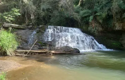 Chácara / sítio à venda no Faxinal dos Castilhos, Lapa 