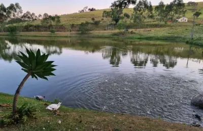 Chácara / sítio com 4 quartos à venda na Rodovia Aldo Bolini, 557, Zona Rural, Piracaia