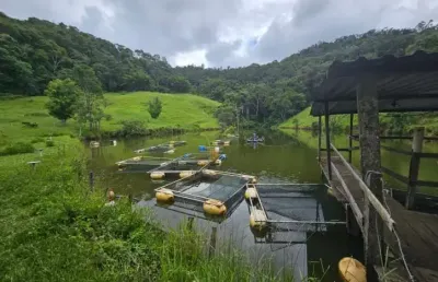 Chácara / sítio com 10 quartos à venda na José Prianti Sobrinho, 500, Centro, Igaratá