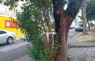 Terreno à venda, 400 m² por r$ 1.320.000,00 - vila gilda - santo andré/sp