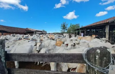 Fazenda de luxo no centro de araruama-rj: 6 quartos, 2 suites, 3 salas, 5 banheiros, 20 vagas de garagem, 52 alqueires de área.