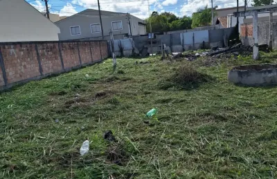 Terreno à venda na Rua Santo Antônio, 509, Roseira de São Sebastião, São José dos Pinhais