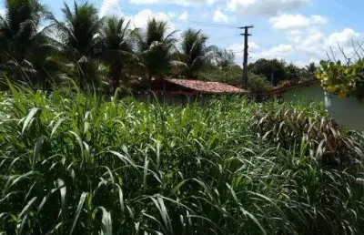 Granja para venda mobiliada possui 400 metros quadrados com 3 quartos em centro - conde - pb