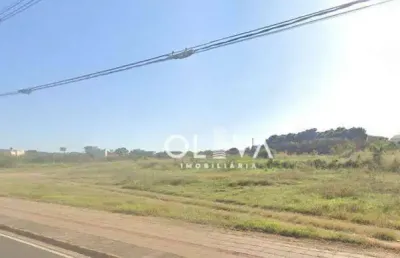 Área à venda, 34000 m² por r$ 68.000.000 - jardim das oliveiras - são josé do rio preto/sp
