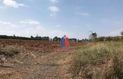 Terreno à venda, 20900 m² por r$ 4.800.000,00 - limeira - limeira/sp