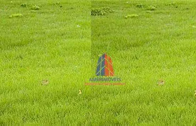 Terreno para alugar, 510 m² por r$ 1.833,00/mês - jardim são roque - americana/sp