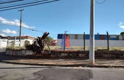 Terreno para alugar, 884 m² por r$ 2.450,00/mês - jardim são roque - americana/sp