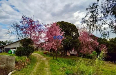 Terreno à venda na ..., são pedro, contenda por r$ 1.200.000