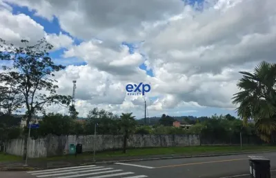Terreno comercial à venda na goiania, 1, centro, piên por r$ 2.000.000
