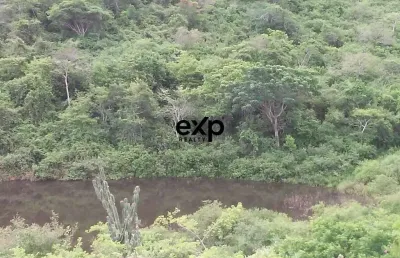 Fazenda à venda na fazendas santamaria i e ii, 1, santa maria i e ii, mundo novo por r$ 8.100.000