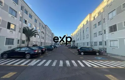 Apartamento com 2 quartos à venda na rua são salvador, 86, costeira, são josé dos pinhais por r$ 219.900