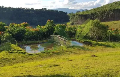 Chácara / sítio com 3 quartos à venda na R. Aldo Boni, 685, Centro, Piracaia