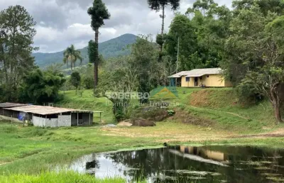 Sítio 544.500m2, 2 lagos , 2 nascentes, piscina natural e entreposto de ovos. friburgo