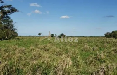Fazenda inteiramente plana, 91,8 alq (444,4 ha), campos dos goytacazes, rj