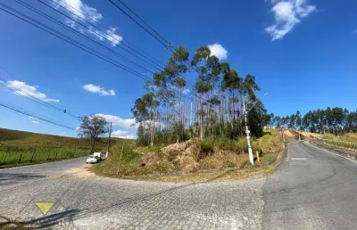 Terreno à venda, 5000 m² por r$ 2.500.000,00 - parque agrinco - guararema/sp