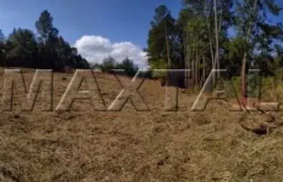 Terreno com área de 2000² bairro royal park  avaré sp