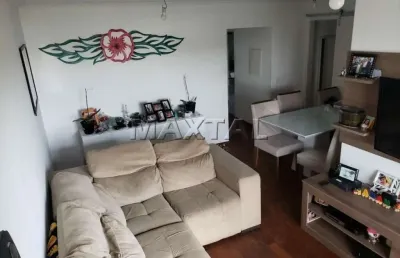 Apartamento com 2 quartos e 2 banheiros à venda, 75 m² na vila mazzei