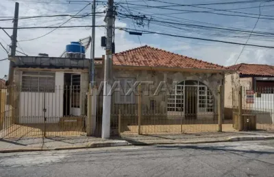 Terreno multi familiar com 4 casas, mais 1 galpão,  pode ser para reforma ou demolir para construir