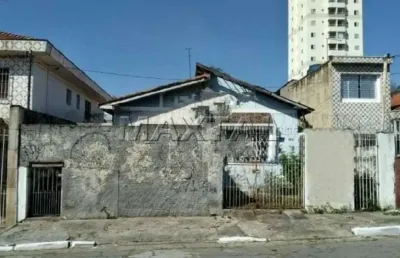 Terreno à venda com 315 m² , 10 metros de frente no tucuruvi, na vila nivi.