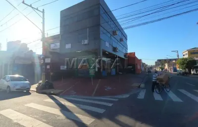Prédio comercial com,516m² ,03 andares com 07 salas, 10 vagas,01 salão com 160m²,  vila maria baixa.
