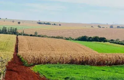 Sítio à venda, 121000 m² por r$ 4.000.000,00 - prq ind 200 - maringá/pr