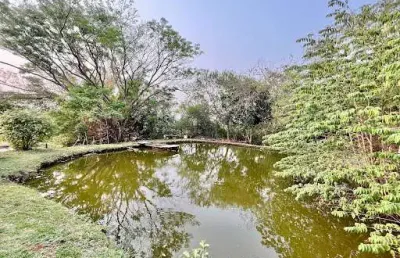 Chácara com 1 dormitório à venda, 3000 m² por r$ 530.000,00 - zona rural - marialva/pr