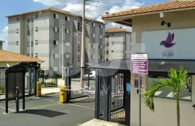 Apartamento com 2 quartos para alugar na rua júlia lovisaro vicentini, 967, sítios frutal, valinhos, 52 m2 por r$ 1.800