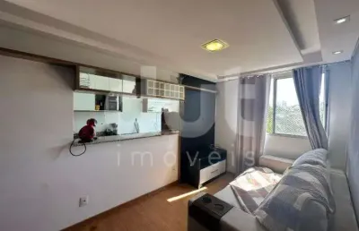 Apartamento com 2 quartos à venda na rua santa rita do passa quatro, 85, jardim nova europa, campinas, 52 m2 por r$ 450.000