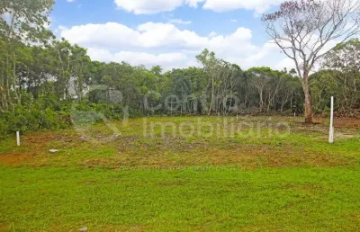 Terreno à venda em peruíbe, no bairro jardim santa gabriela