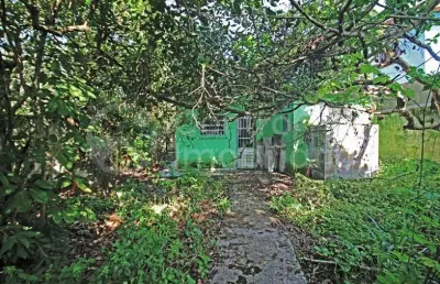 Casa à venda com 3 quartos em peruíbe, no bairro belmira novaes